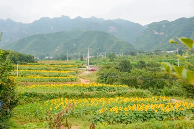 微信图片_2026-03-13_161121_045 (2).jpg 微信图片_2026-03-13_161121_045 (2).jpg